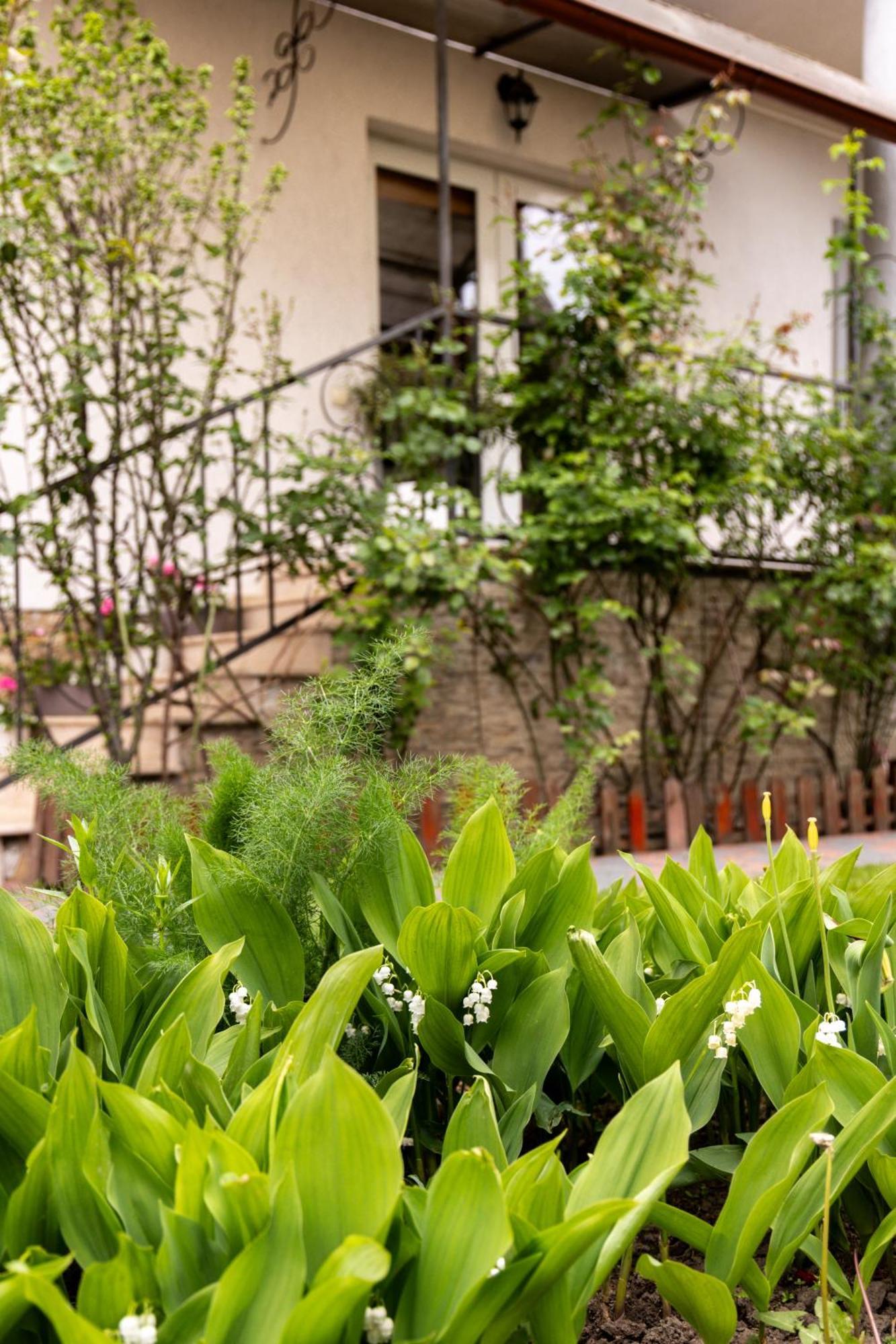 Green Garden Авріґ Екстер'єр фото